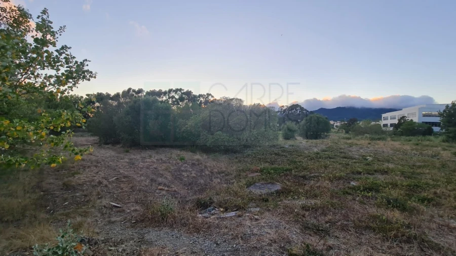 Terreno para Venda em Santa Maria e São Miguel, São Martinho, São Pedro Penaferrim Foto 22
