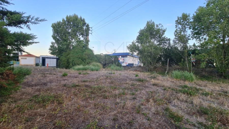 Terreno para Venda em Santa Maria e São Miguel, São Martinho, São Pedro Penaferrim Foto 27