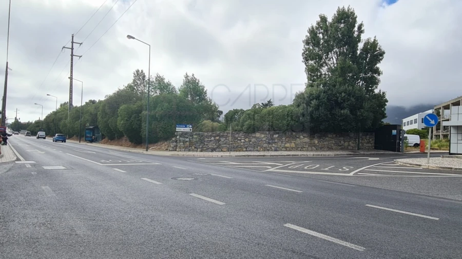 Terreno para Venda em Santa Maria e São Miguel, São Martinho, São Pedro Penaferrim Foto 40