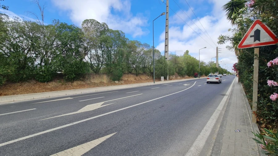 Terreno para Venda em Santa Maria e São Miguel, São Martinho, São Pedro Penaferrim Foto 41