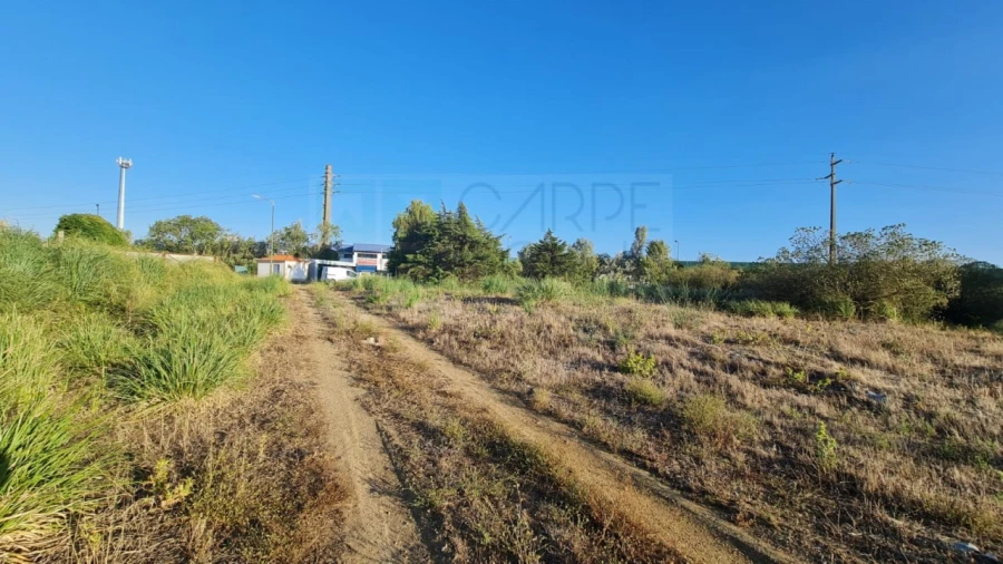 Terreno para Venda em Santa Maria e São Miguel, São Martinho, São Pedro Penaferrim Foto 4