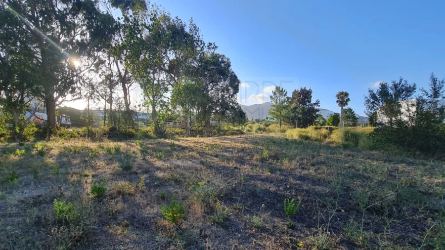 Terreno para Venda em Santa Maria e São Miguel, São Martinho, São Pedro Penaferrim Foto 11