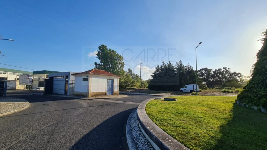 Terreno para Venda em Santa Maria e São Miguel, São Martinho, São Pedro Penaferrim Foto 44