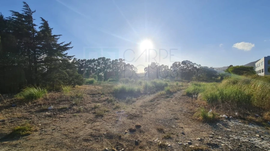 Terreno para Venda em Santa Maria e São Miguel, São Martinho, São Pedro Penaferrim Foto 45