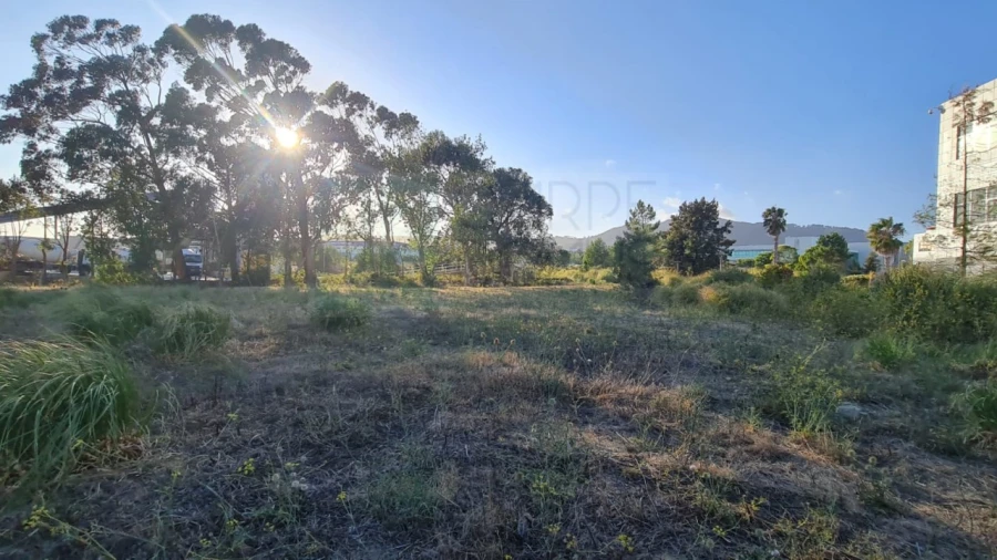 Terreno para Venda em Santa Maria e São Miguel, São Martinho, São Pedro Penaferrim Foto 47