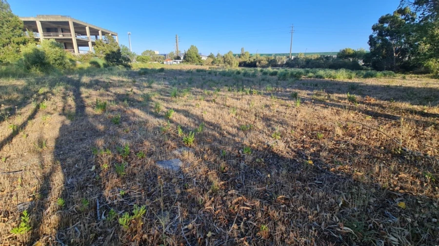 Terreno para Venda em Santa Maria e São Miguel, São Martinho, São Pedro Penaferrim Foto 48