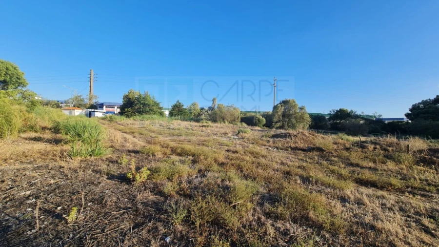 Terreno para Venda em Santa Maria e São Miguel, São Martinho, São Pedro Penaferrim Foto 52