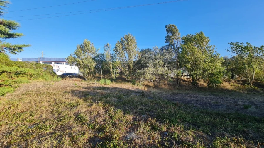 Terreno para Venda em Santa Maria e São Miguel, São Martinho, São Pedro Penaferrim Foto 54