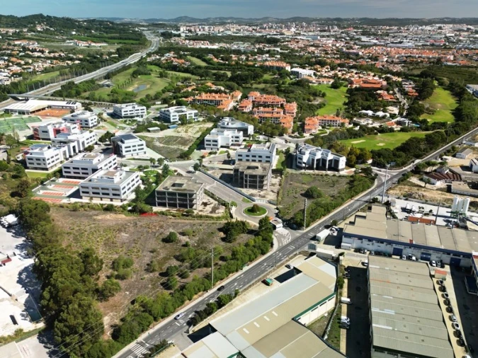 Terreno para Venda em Santa Maria e São Miguel, São Martinho, São Pedro Penaferrim Foto 61