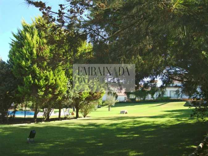 Moradia T8 para Venda em Roliça Foto 38