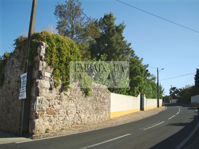 Moradia T8 para Venda em Roliça Foto 29