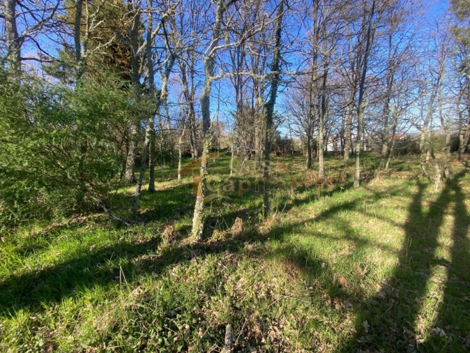 Terreno para Venda em São Tomé do Castelo e Justes Foto 12