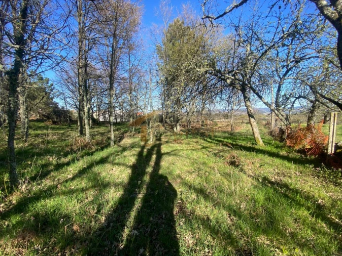 Terreno para Venda em São Tomé do Castelo e Justes Foto 14