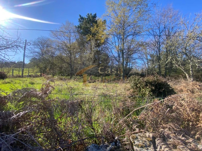 Terreno para Venda em São Tomé do Castelo e Justes Foto 4