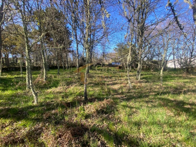 Terreno para Venda em São Tomé do Castelo e Justes Foto 11