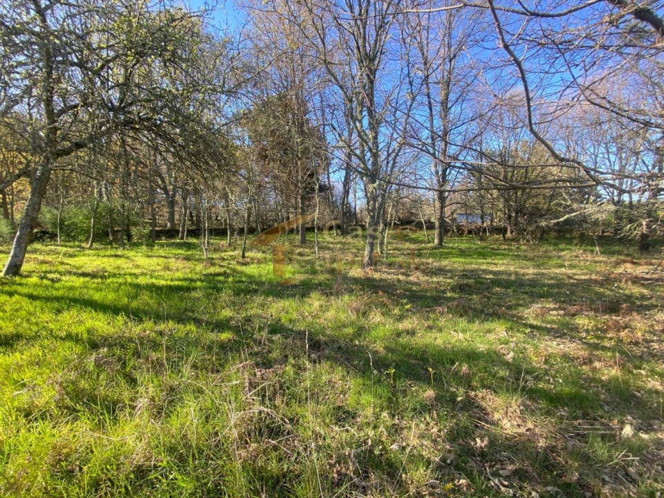 Terreno para Venda em São Tomé do Castelo e Justes Foto 9