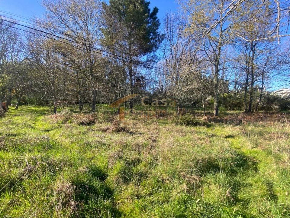 Terreno para Venda em São Tomé do Castelo e Justes Foto 15
