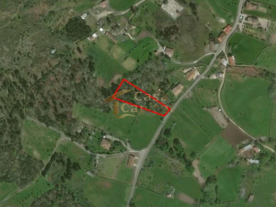 Terreno para Venda em São Tomé do Castelo e Justes Foto 4
