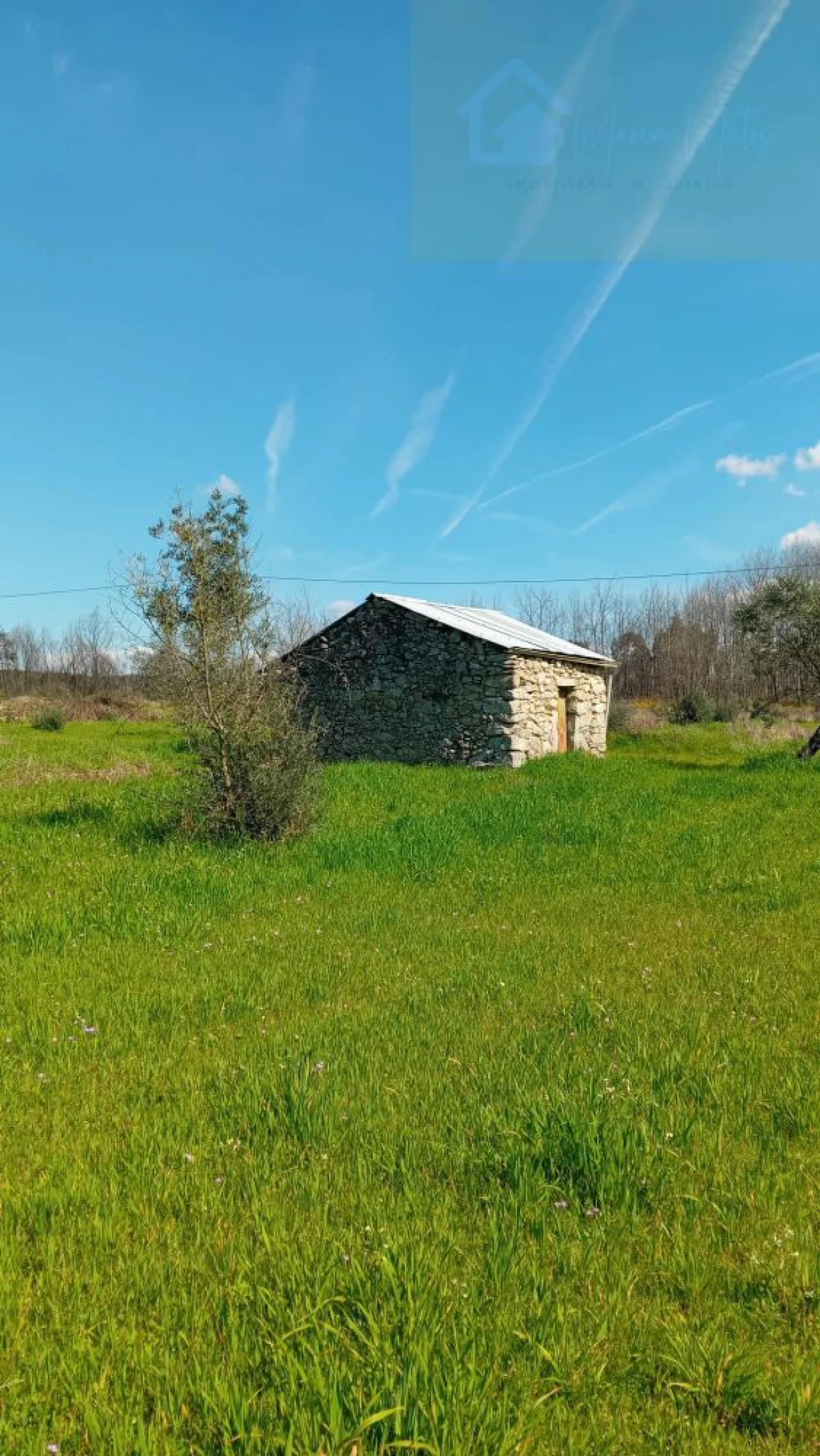 Quinta T3 para Venda em Mangualde, Mesquitela e Cunha Alta Foto 6