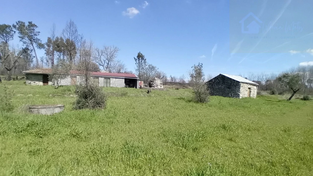 Quinta T3 para Venda em Mangualde, Mesquitela e Cunha Alta Foto 8