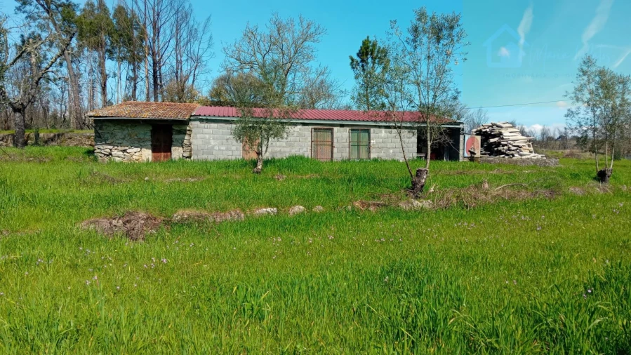 Quinta T3 para Venda em Mangualde, Mesquitela e Cunha Alta Foto 7