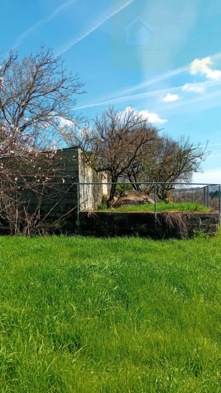 Quinta T3 para Venda em Mangualde, Mesquitela e Cunha Alta Foto 9