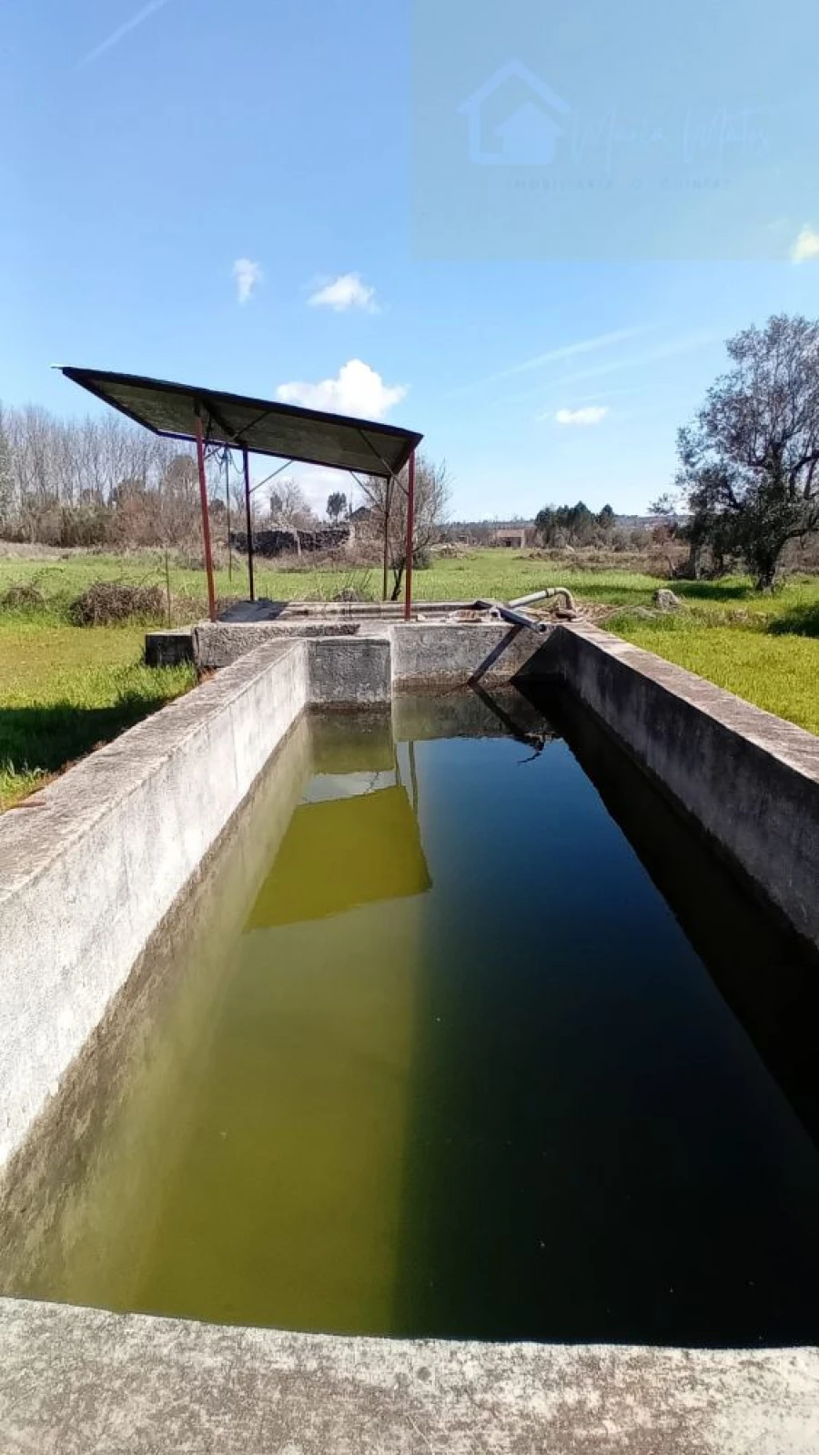Quinta T3 para Venda em Mangualde, Mesquitela e Cunha Alta Foto 12