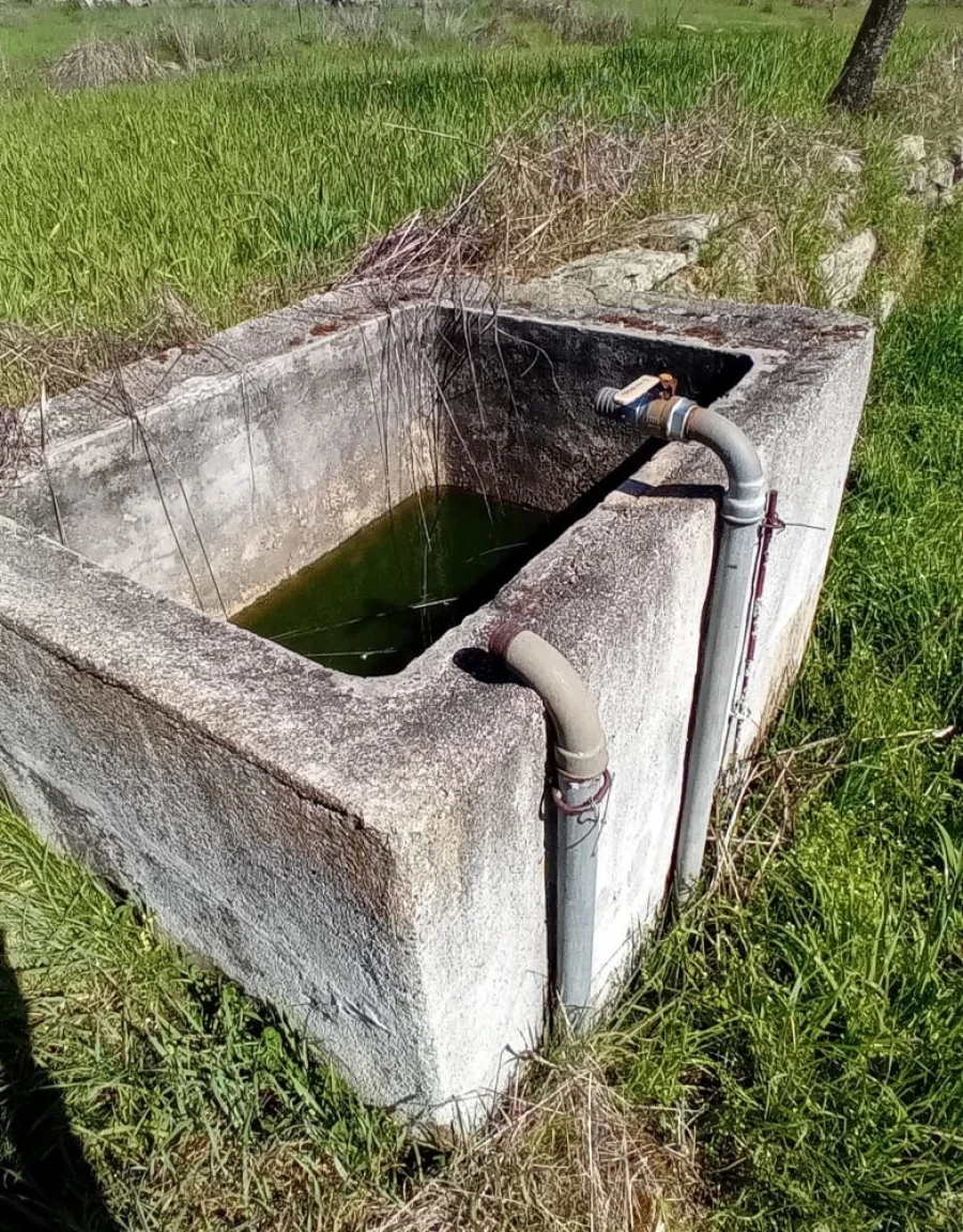 Quinta T3 para Venda em Mangualde, Mesquitela e Cunha Alta Foto 14