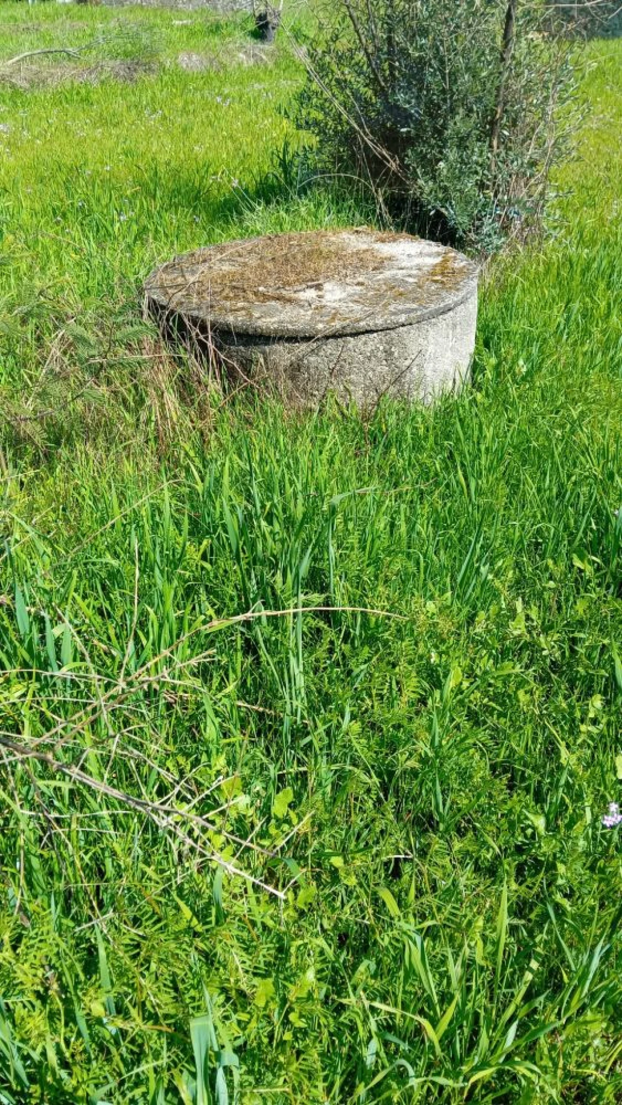 Quinta T3 para Venda em Mangualde, Mesquitela e Cunha Alta Foto 11