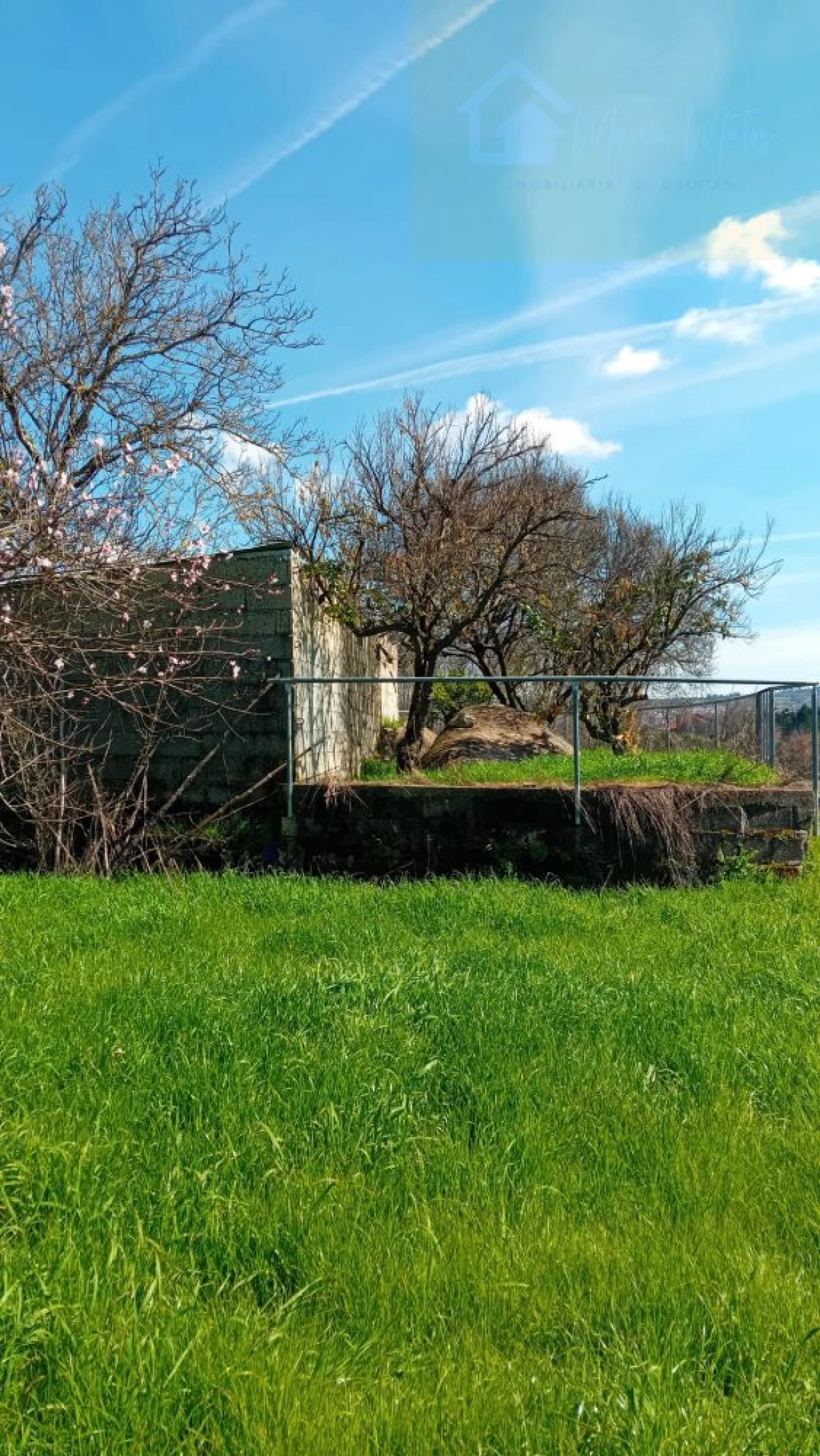Quinta T3 para Venda em Mangualde, Mesquitela e Cunha Alta Foto 9