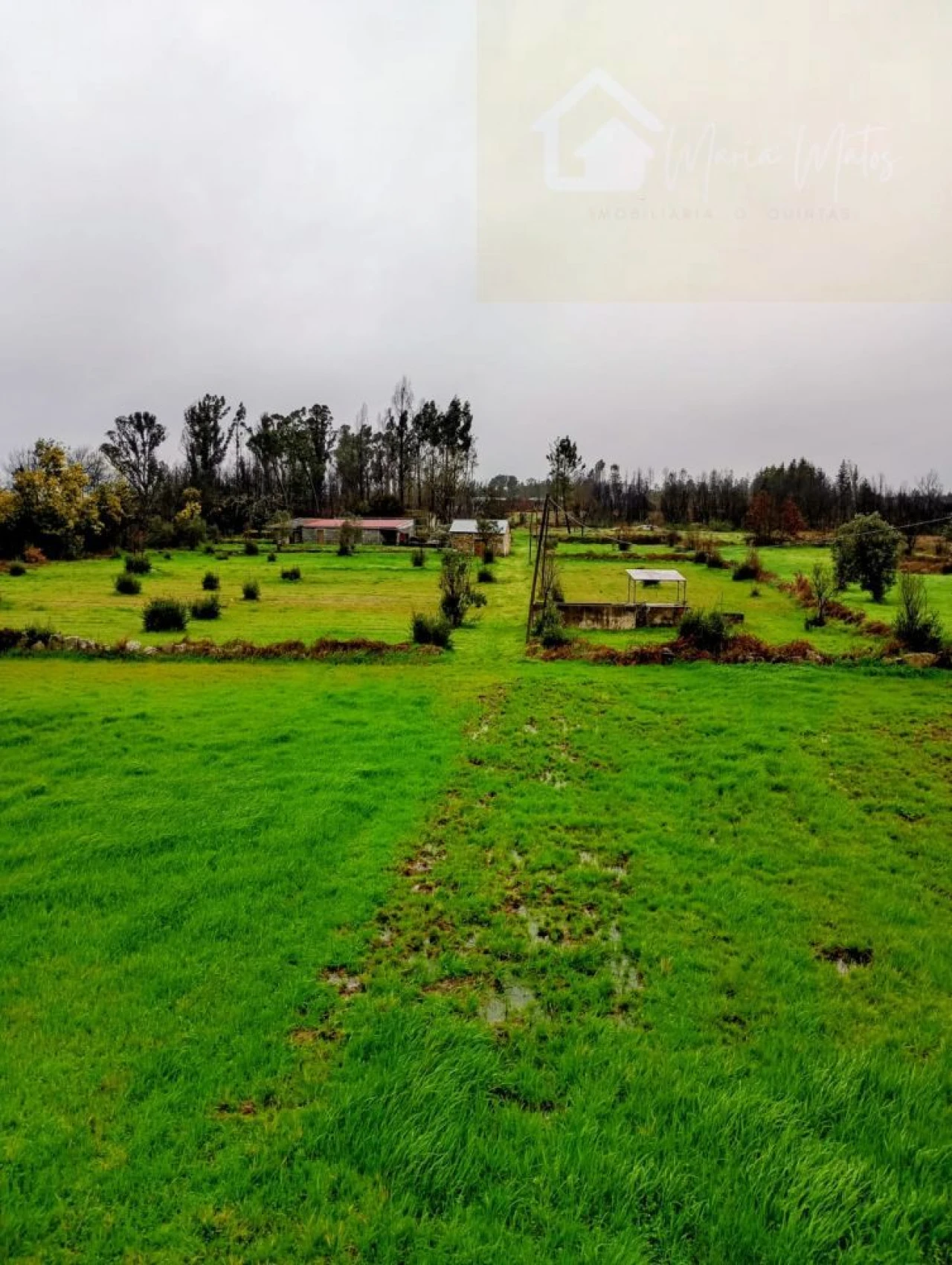 Quinta T3 para Venda em Mangualde, Mesquitela e Cunha Alta Foto 6