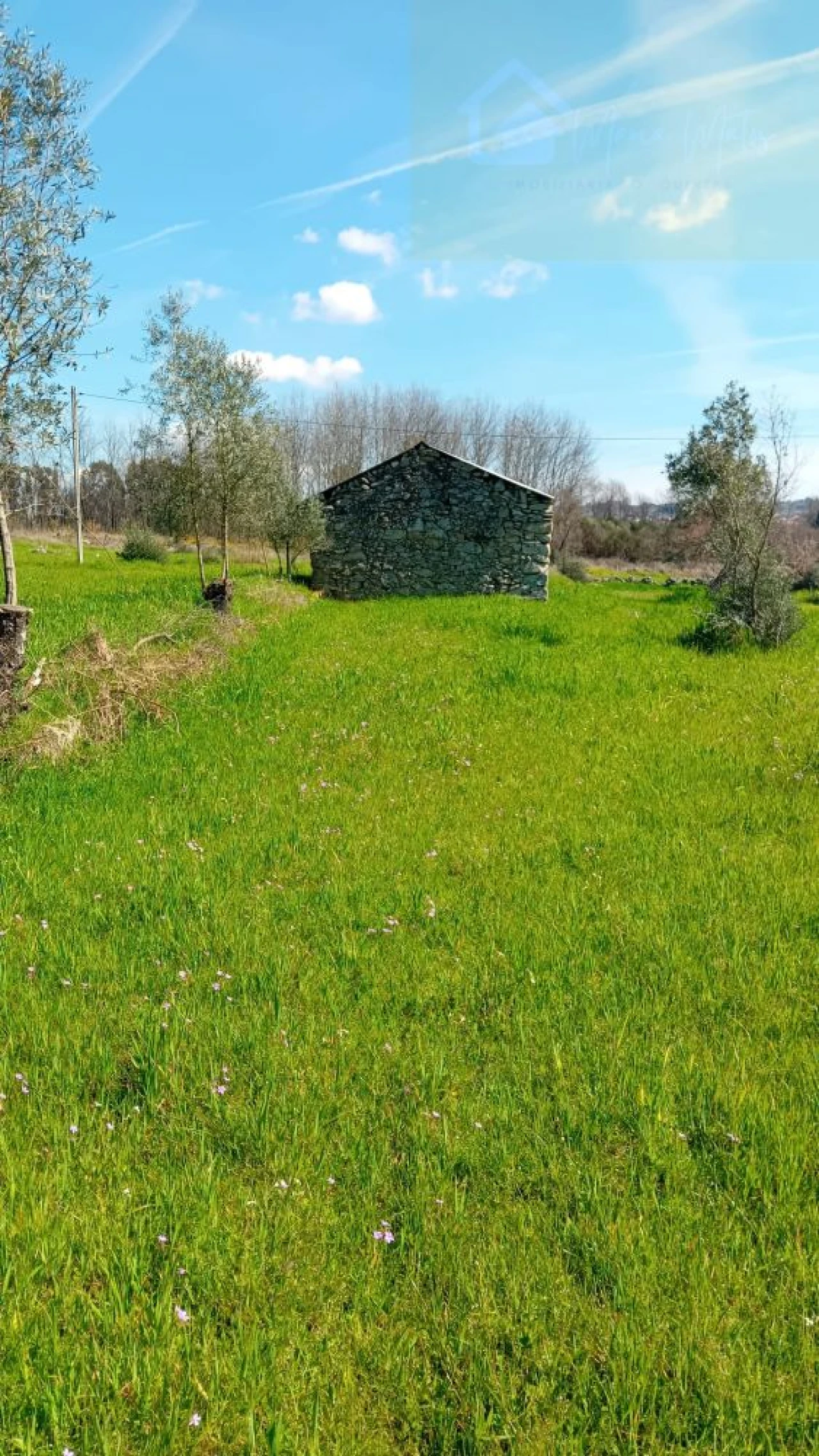 Quinta T3 para Venda em Mangualde, Mesquitela e Cunha Alta Foto 10