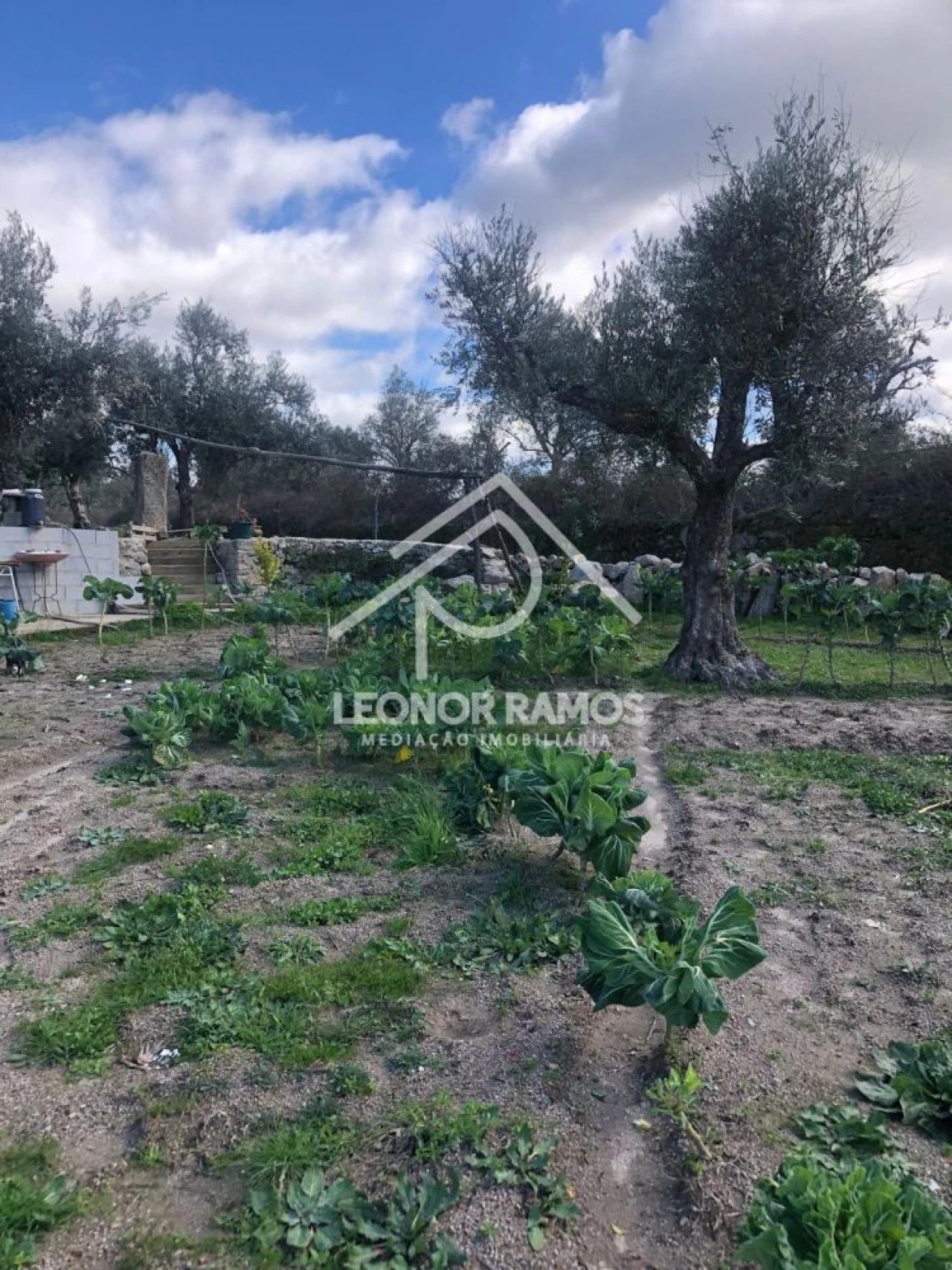 Terreno para Venda em Póvoa de Rio de Moinhos e Cafede Foto 9