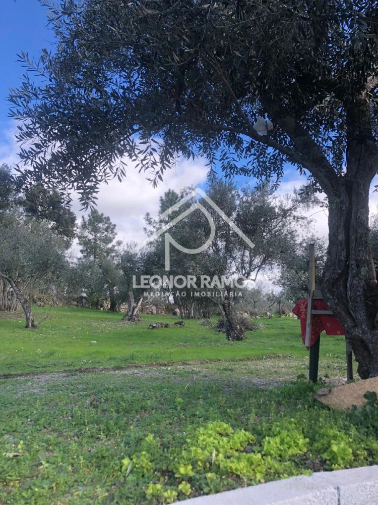 Terreno para Venda em Póvoa de Rio de Moinhos e Cafede Foto 5