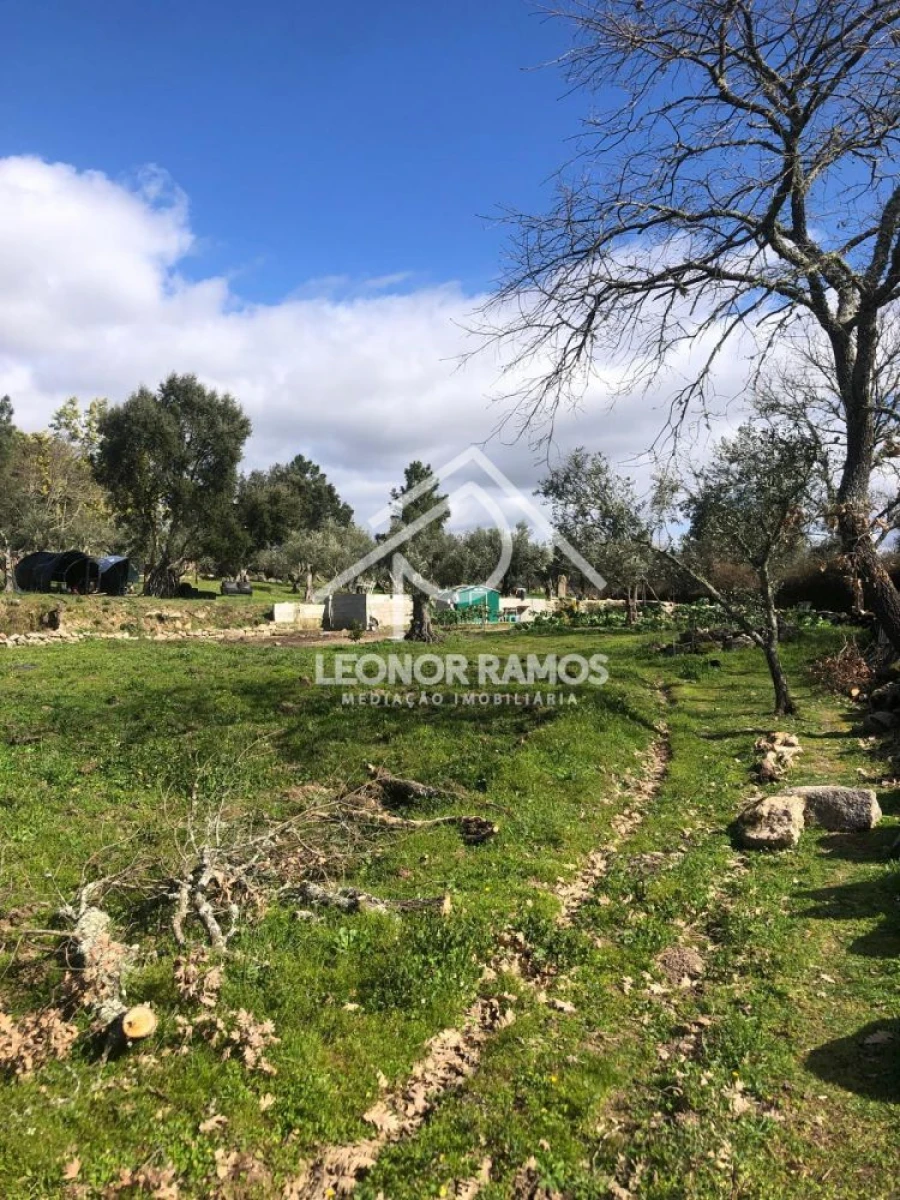 Terreno para Venda em Póvoa de Rio de Moinhos e Cafede Foto 16