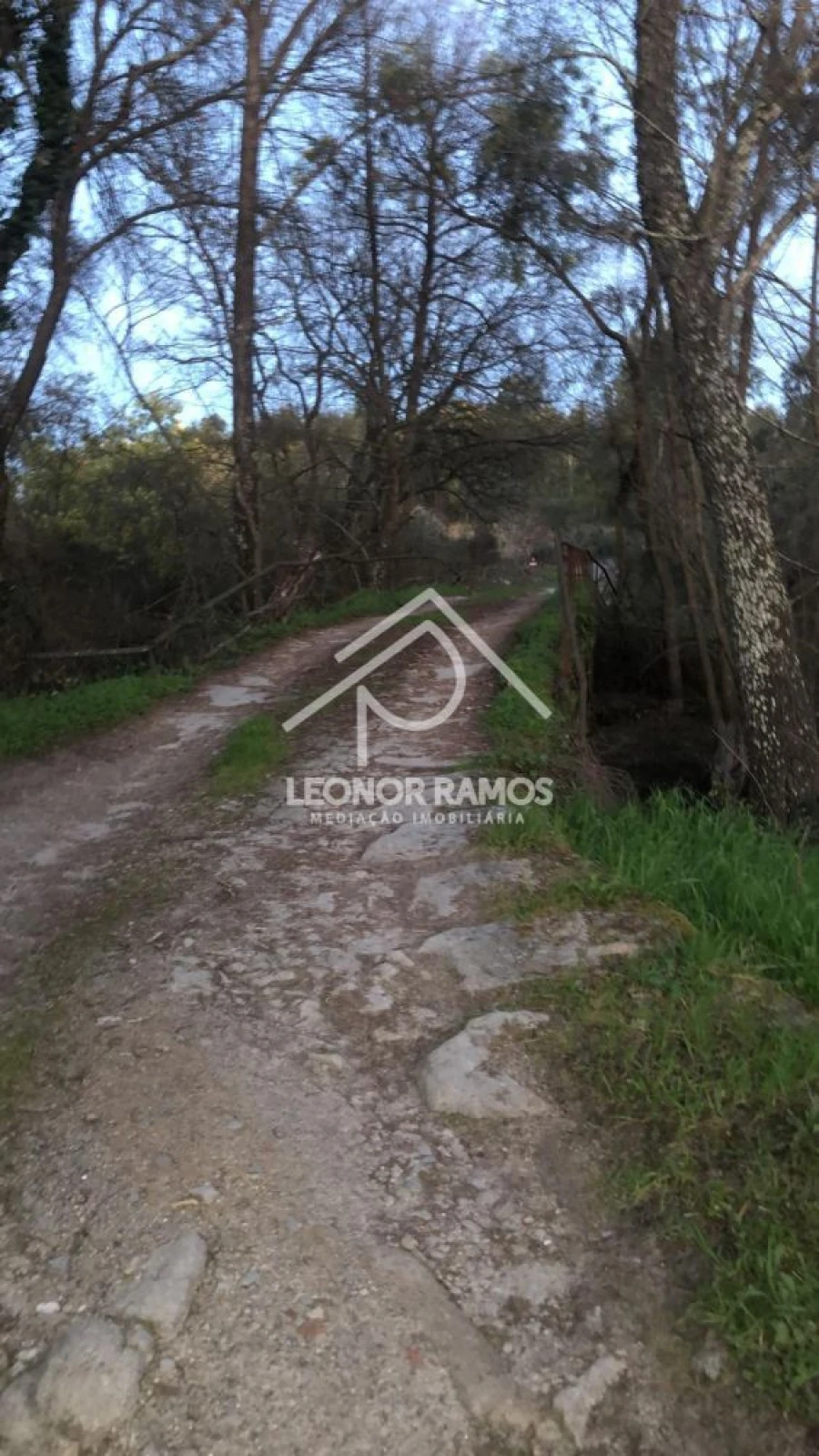 Terreno para Venda em Póvoa de Rio de Moinhos e Cafede Foto 6