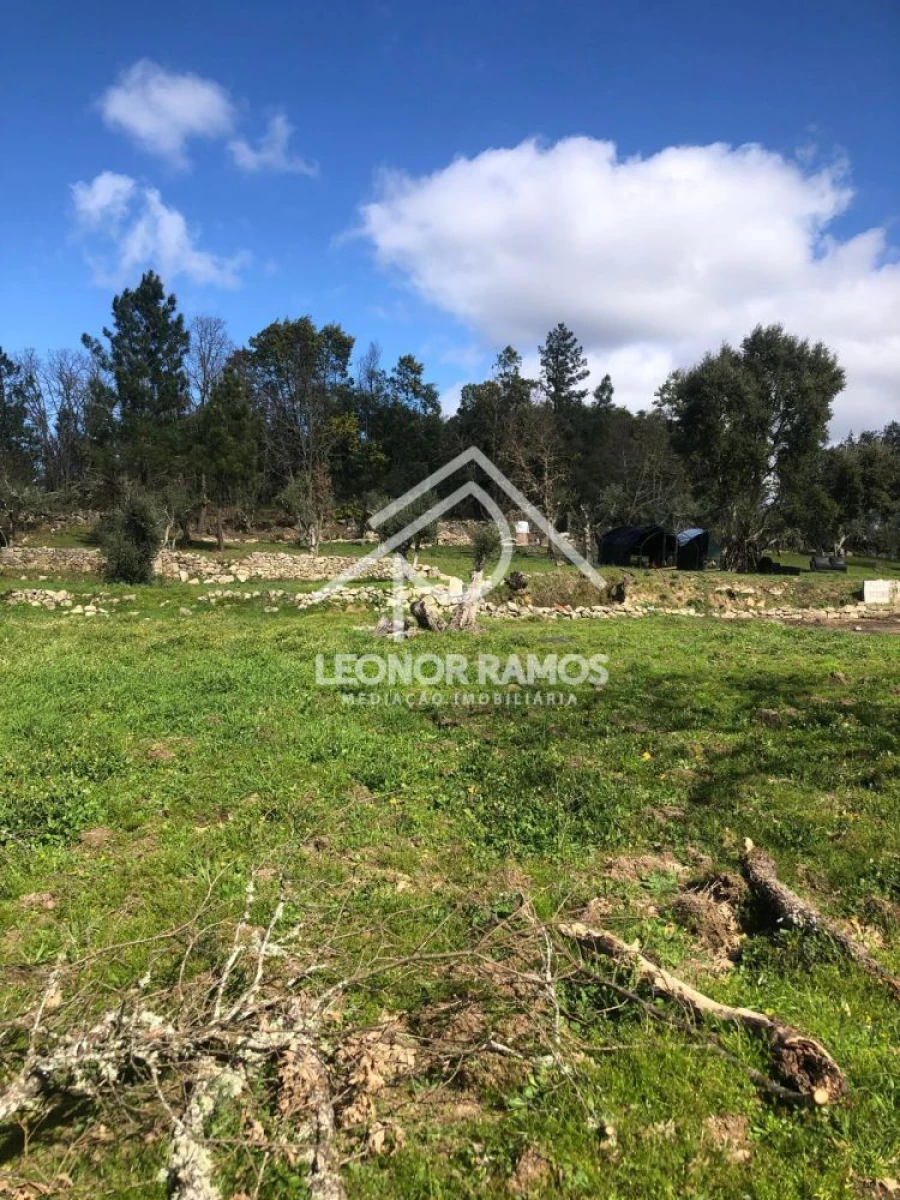 Terreno para Venda em Póvoa de Rio de Moinhos e Cafede Foto 15