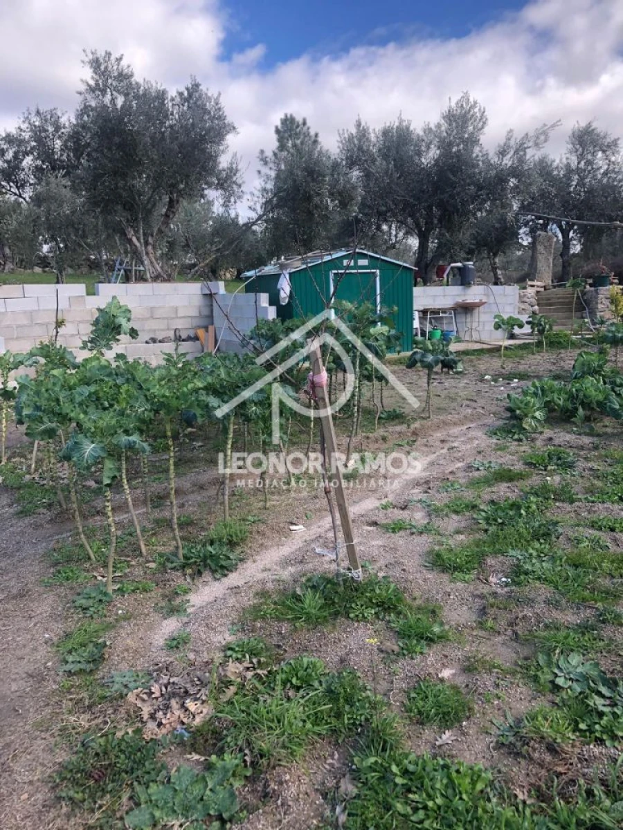 Terreno para Venda em Póvoa de Rio de Moinhos e Cafede Foto 10