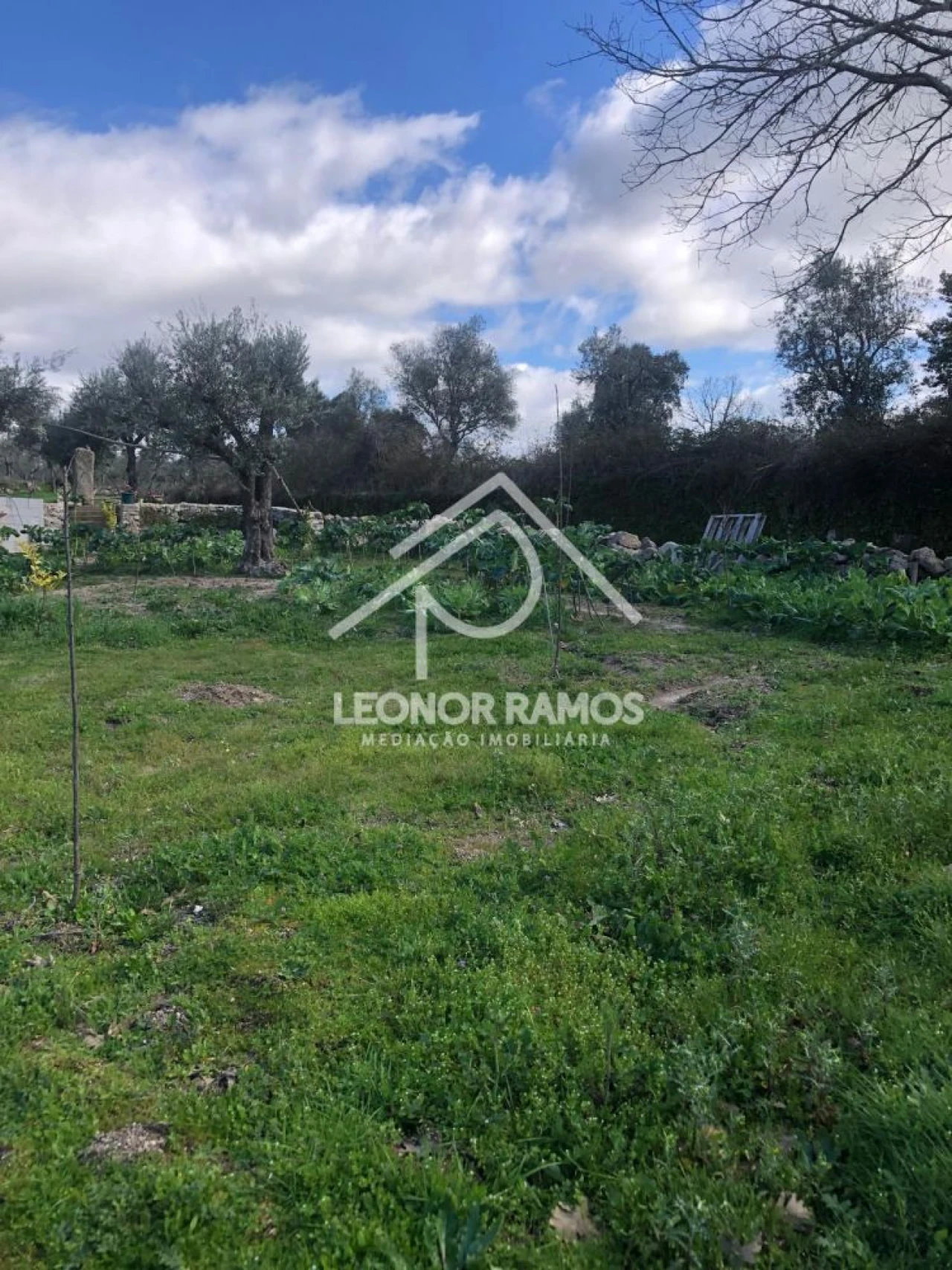 Terreno para Venda em Póvoa de Rio de Moinhos e Cafede Foto 13