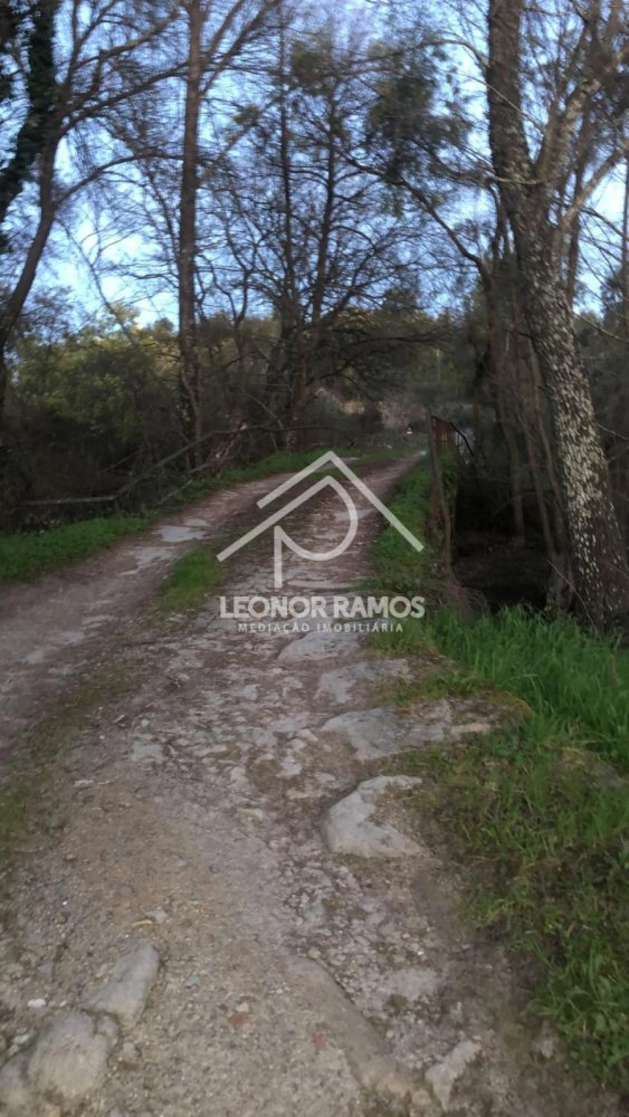 Terreno para Venda em Póvoa de Rio de Moinhos e Cafede Foto 6