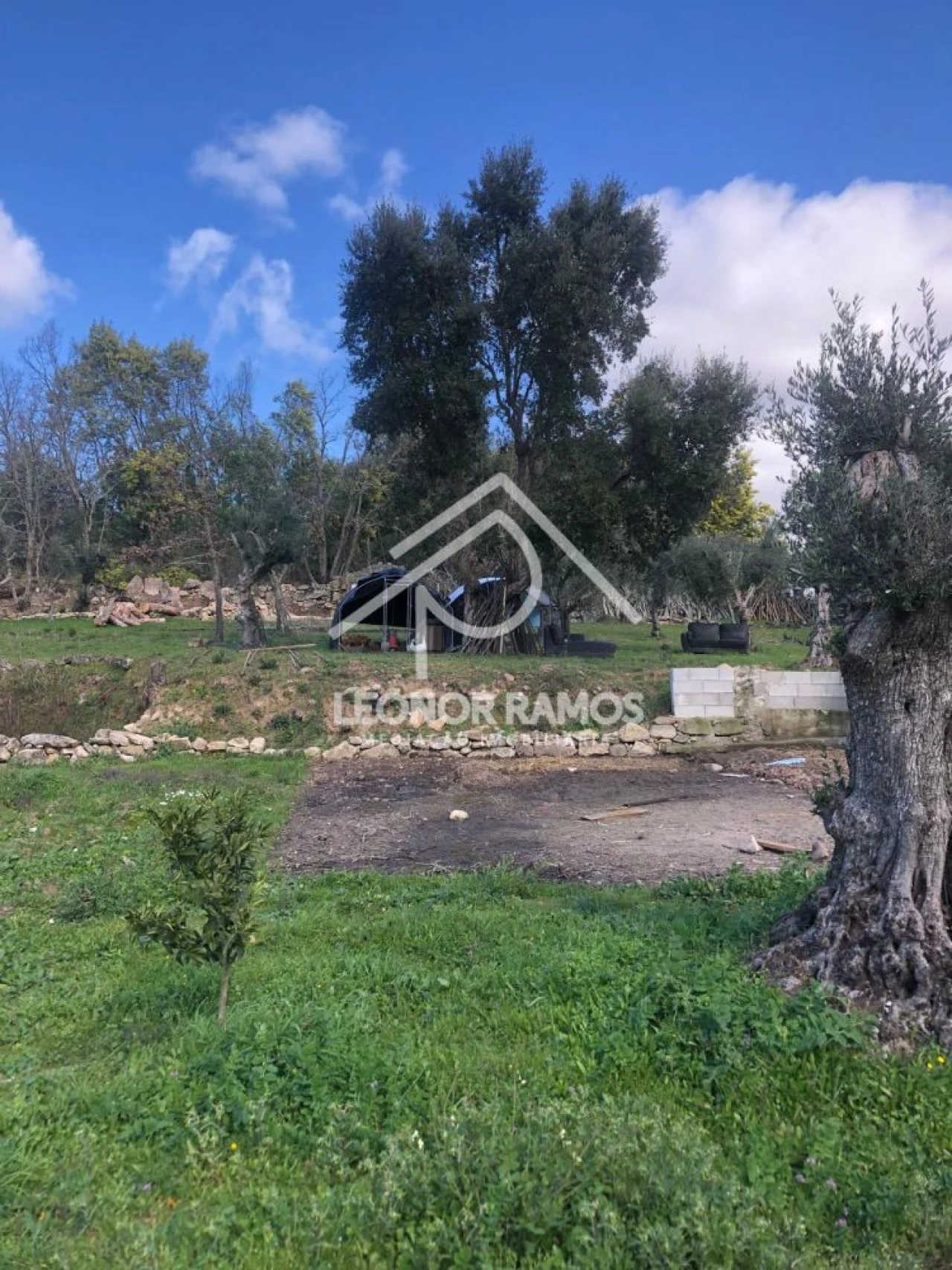 Terreno para Venda em Póvoa de Rio de Moinhos e Cafede Foto 17