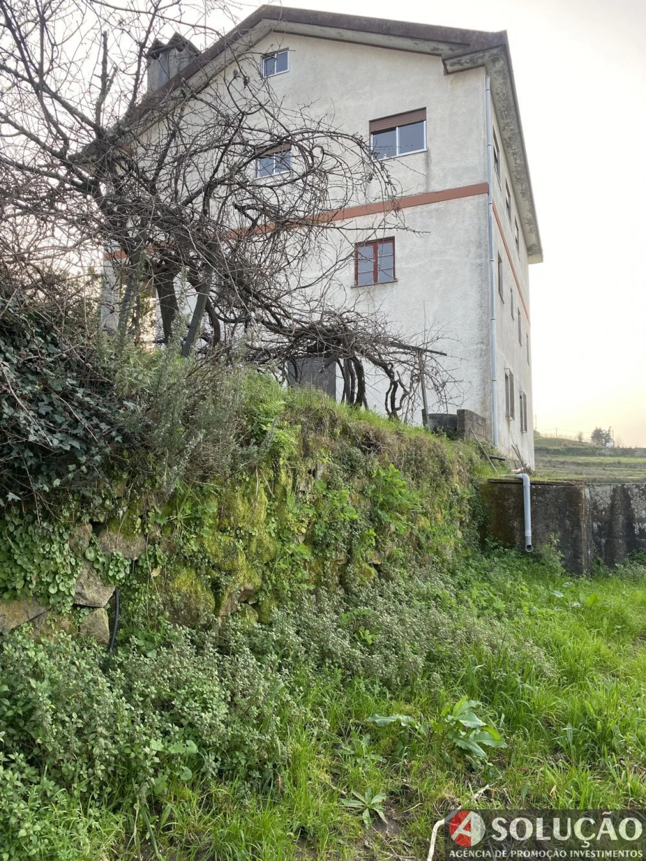 Quinta T10 para Venda em Resende Foto 7