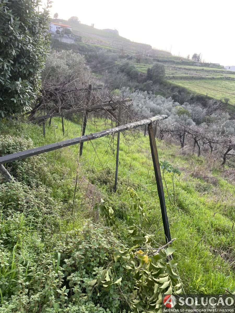 Quinta T10 para Venda em Resende Foto 12