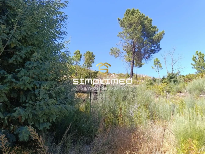 Terreno para Venda em Orjais Foto 13