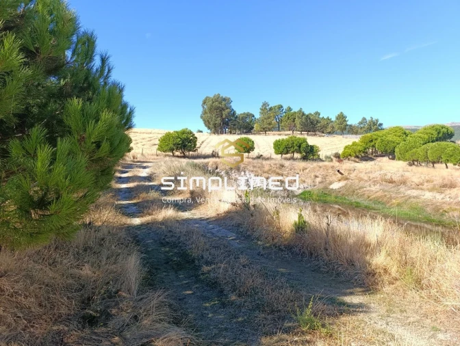 Quinta T0 para Venda em Orjais Foto 27