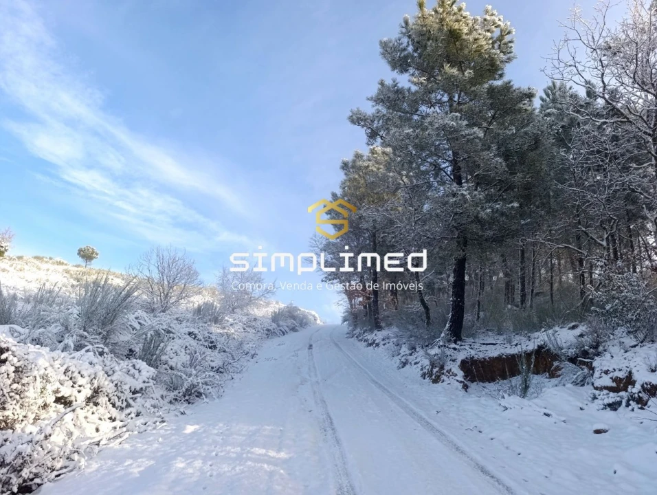 Quinta T0 para Venda em Orjais Foto 50