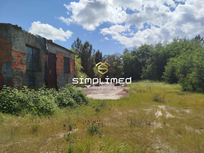 Terreno para Venda em Teixoso e Sarzedo Foto 14