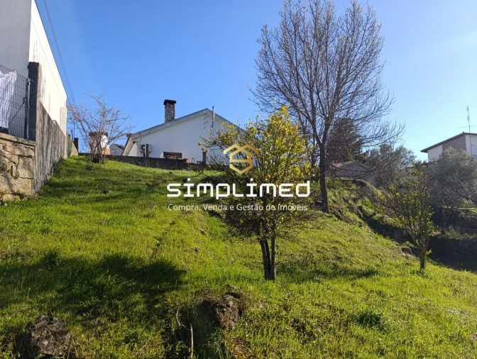 Terreno para Venda em Belmonte e Colmeal da Torre Foto 8