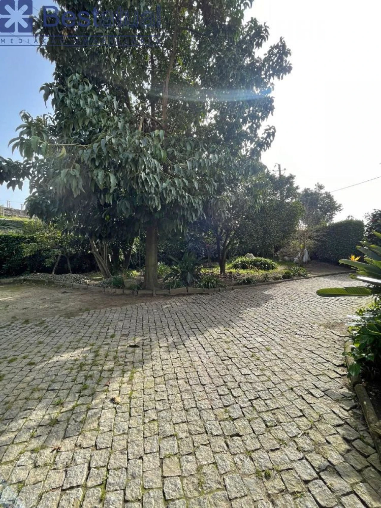 Moradia T4 para Venda em Antas e Abade de Vermoim Foto 25