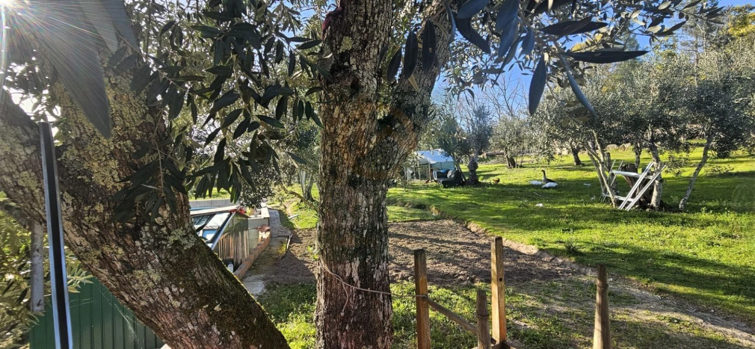 Terreno para Venda em Póvoa de Rio de Moinhos e Cafede Foto 52